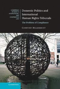 bokomslag Domestic Politics and International Human Rights Tribunals