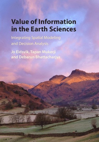 bokomslag Value of Information in the Earth Sciences