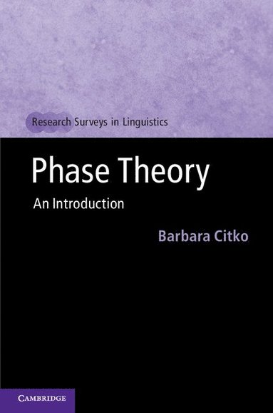 bokomslag Phase Theory