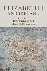 bokomslag Elizabeth I and Ireland