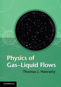 bokomslag Physics of Gas-Liquid Flows