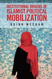 bokomslag Institutional Origins of Islamist Political Mobilization