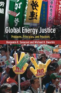 bokomslag Global Energy Justice