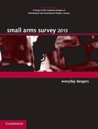 bokomslag Small Arms Survey 2013