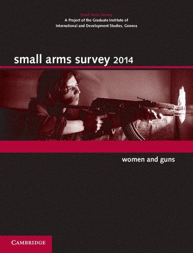 bokomslag Small Arms Survey 2014