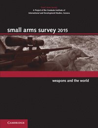 bokomslag Small Arms Survey 2015