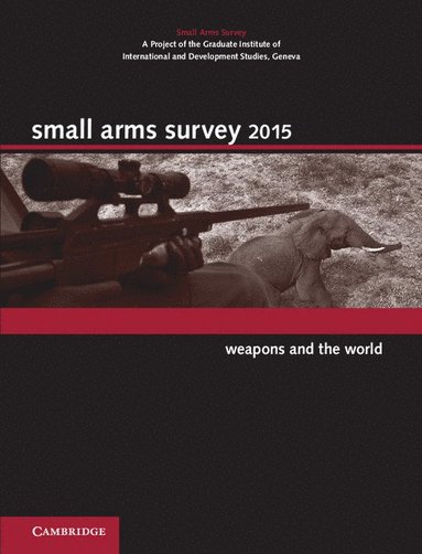 bokomslag Small Arms Survey