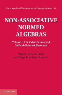 bokomslag Non-Associative Normed Algebras
