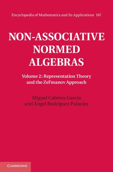 bokomslag Non-Associative Normed Algebras