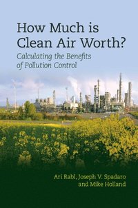 bokomslag How Much Is Clean Air Worth?