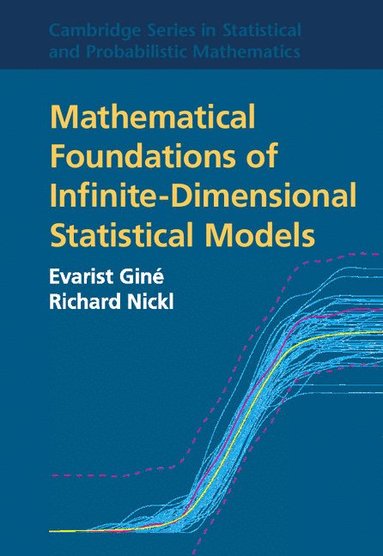 bokomslag Mathematical Foundations of Infinite-Dimensional Statistical Models