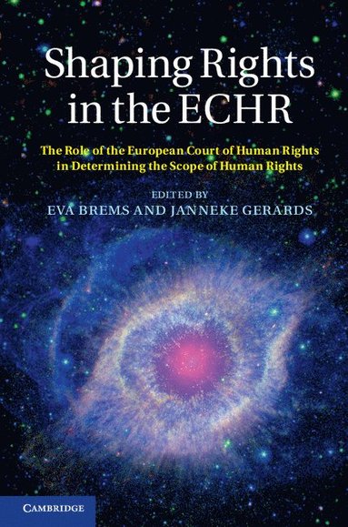 bokomslag Shaping Rights in the ECHR