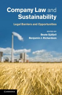 bokomslag Company Law and Sustainability