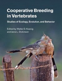 bokomslag Cooperative Breeding in Vertebrates