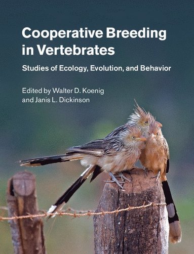 bokomslag Cooperative Breeding in Vertebrates