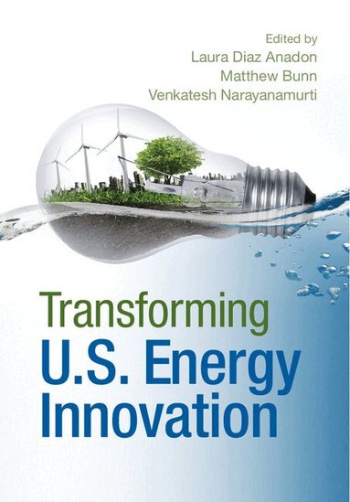 Laura Diaz Anadon, Matthew Bunn, Venkatesh Narayanamurti - Transforming US Energy Innovation, Inbunden