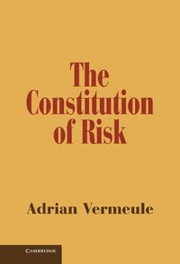 bokomslag The Constitution of Risk