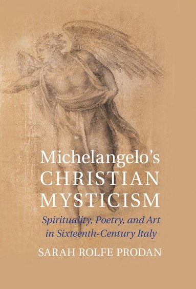 bokomslag Michelangelo's Christian Mysticism