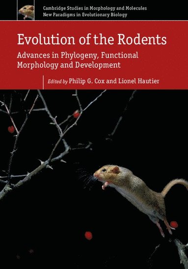 bokomslag Evolution of the Rodents: Volume 5