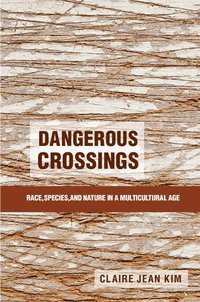 bokomslag Dangerous Crossings
