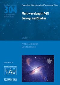 bokomslag Multiwavelength AGN Surveys and Studies (IAU S304)
