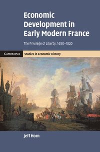 bokomslag Economic Development in Early Modern France