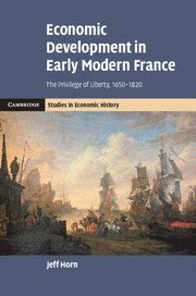 bokomslag Economic Development in Early Modern France