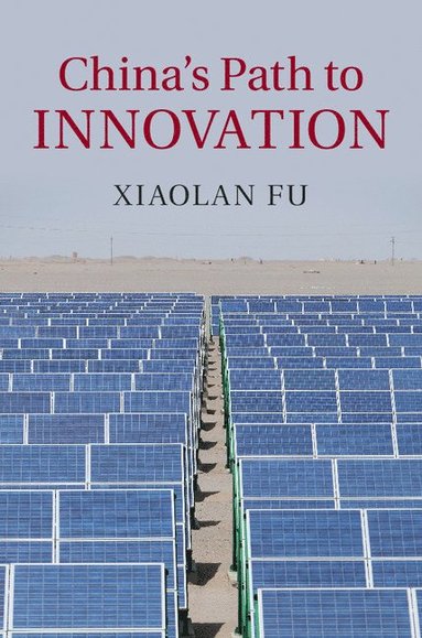 bokomslag China's Path to Innovation