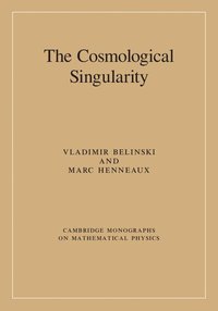 bokomslag The Cosmological Singularity