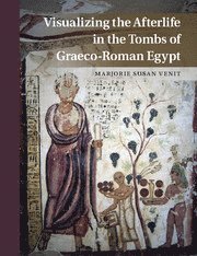 bokomslag Visualizing the Afterlife in the Tombs of Graeco-Roman Egypt