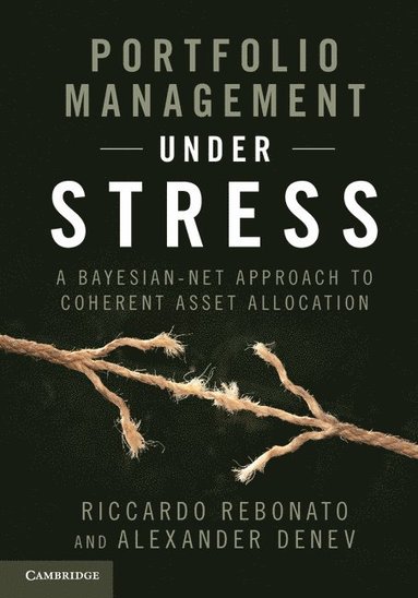 bokomslag Portfolio Management under Stress