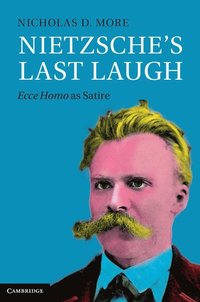 bokomslag Nietzsche's Last Laugh