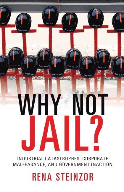 Rena Steinzor, Baltimore) Steinzor, Rena (University of Maryland - Why Not Jail?, Inbunden