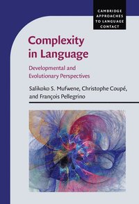 bokomslag Complexity in Language