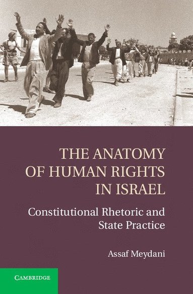 bokomslag The Anatomy of Human Rights in Israel