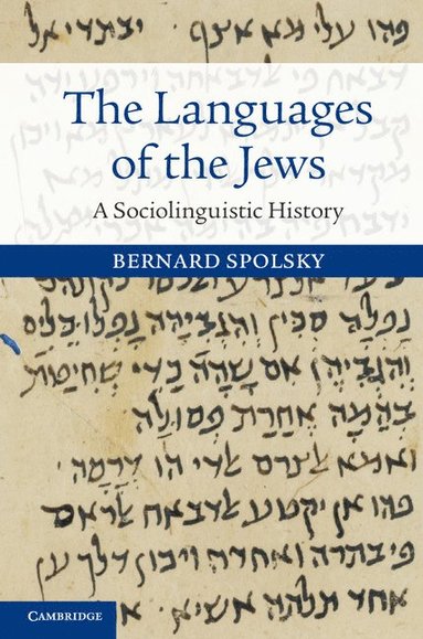 bokomslag The Languages of the Jews
