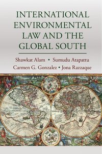 bokomslag International Environmental Law and the Global South
