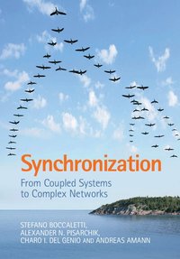 bokomslag Synchronization