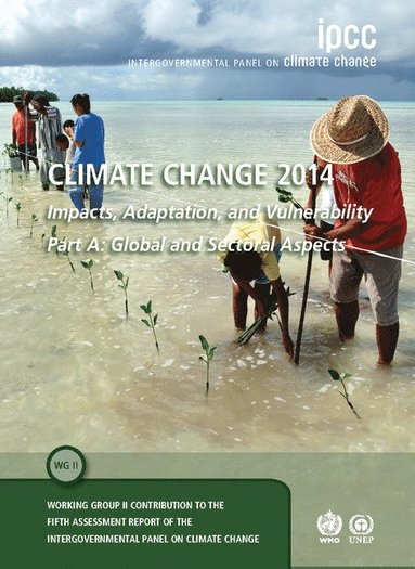 bokomslag Climate Change 2014 - Impacts, Adaptation and Vulnerability: Part A: Global and Sectoral Aspects: Volume 1, Global and Sectoral Aspects
