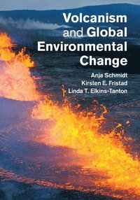 bokomslag Volcanism and Global Environmental Change