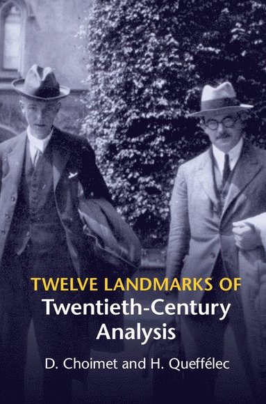 bokomslag Twelve Landmarks of Twentieth-Century Analysis