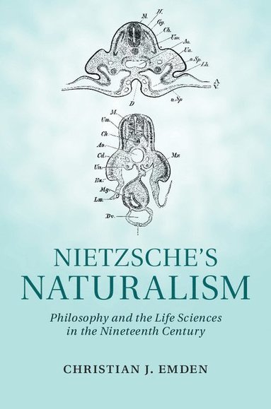 bokomslag Nietzsche's Naturalism