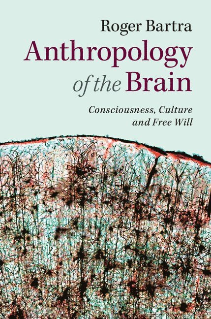 Anthropology of the Brain 1