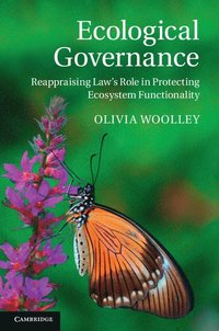 bokomslag Ecological Governance