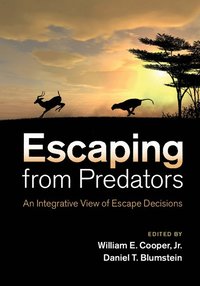 bokomslag Escaping From Predators