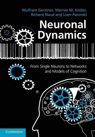 bokomslag Neuronal Dynamics