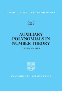 bokomslag Auxiliary Polynomials in Number Theory