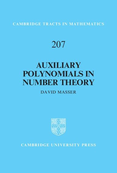 bokomslag Auxiliary Polynomials in Number Theory