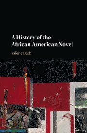 bokomslag History of the African American Novel