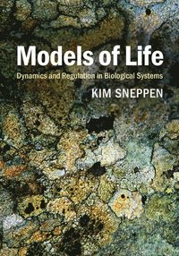 bokomslag Models of Life: Dynamics and Regulation in Biological Systems